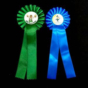 Kaspinas” Nominacijos”