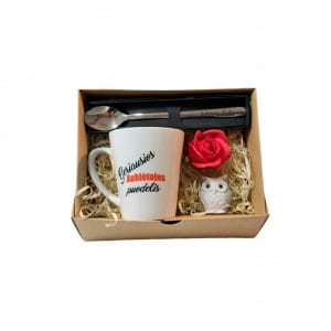 Rinkinukas “Sėkmės darbuose”