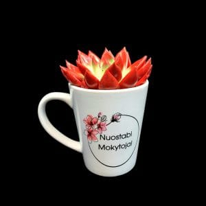 Latte puodelis  “Nuostabi Mokytoja”