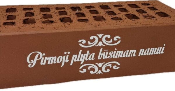 Plyta “Pirmoji plyta būsimam namui”