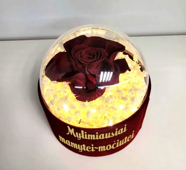 Stabilizuotų gėlių puokštė dėžutėje su šviečiančia girlianda ir jūsų norimu užrašu (Kopija)