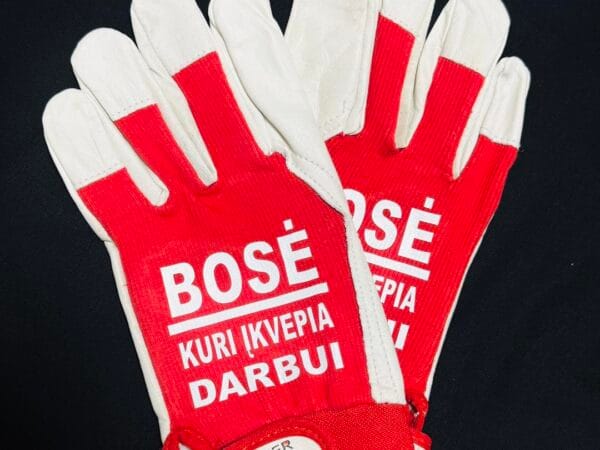 boso diena